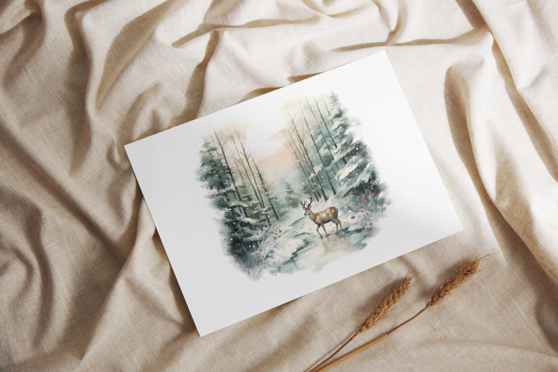 woodland-forest-illustration-pack