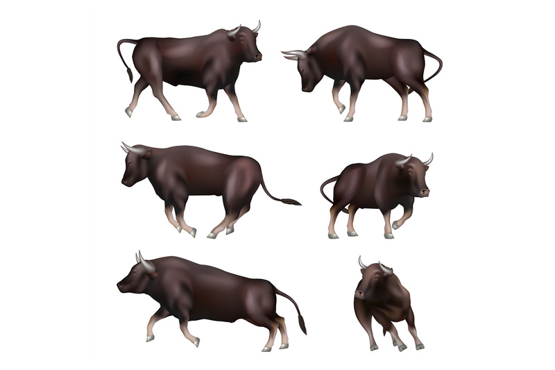 bull-animal-in-action-poses-aggressive-business-bull-decent-vector-re