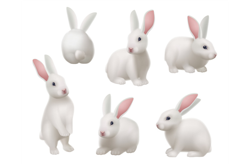 white-rabbit-animal-in-various-poses-in-science-laboratory-decent-vec