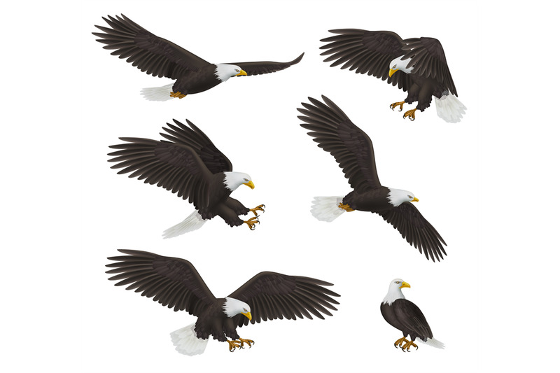 eagles-prey-birds-freedom-symbols-decent-vector-realistic-flying-eagl