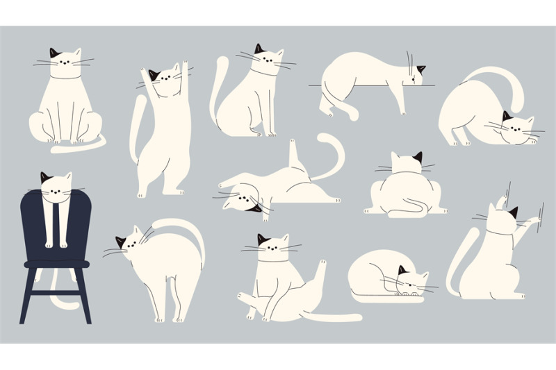 cats-body-language-cute-kitten-emotions-cartoon-domestic-cats-showin