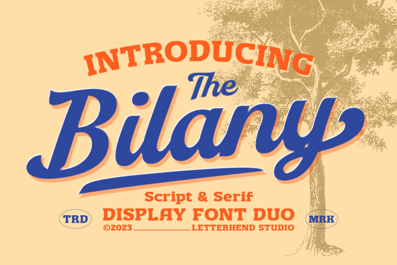 the-bilany-display-font-duo