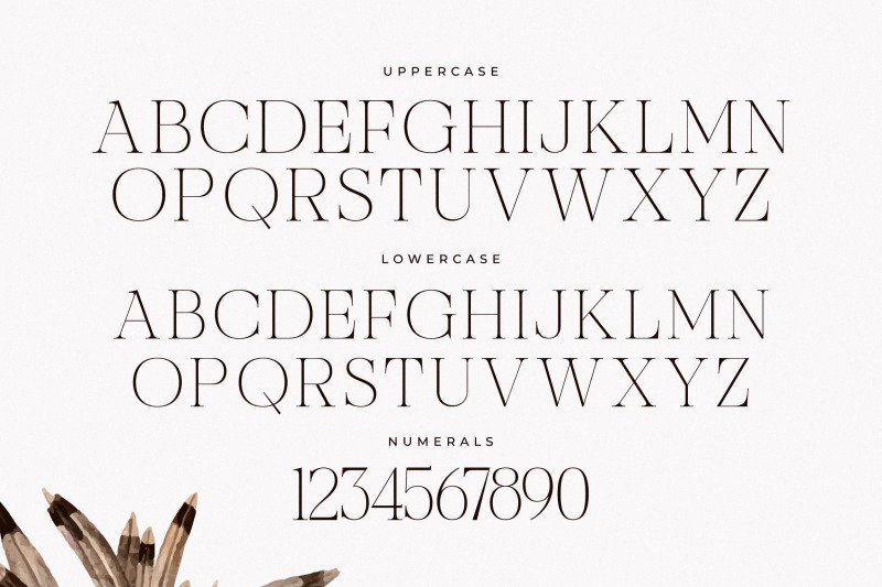 nocashe-new-display-serif-font