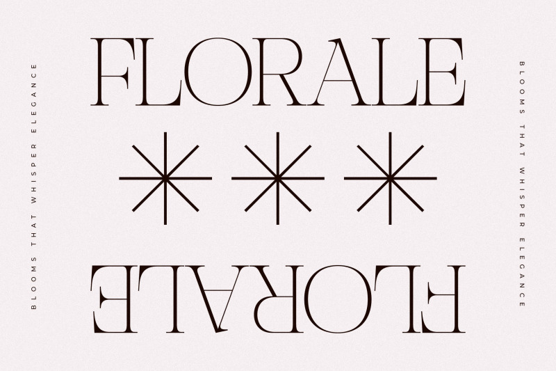 nocashe-new-display-serif-font