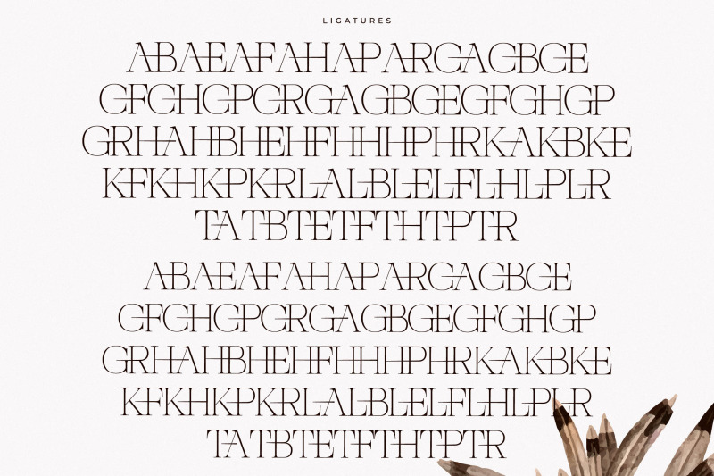 nocashe-new-display-serif-font