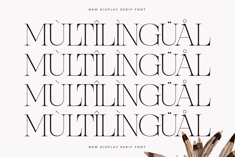 nocashe-new-display-serif-font