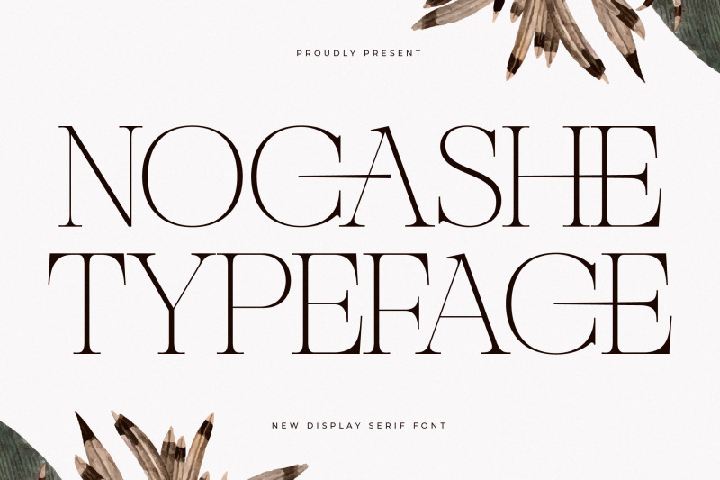 nocashe-new-display-serif-font