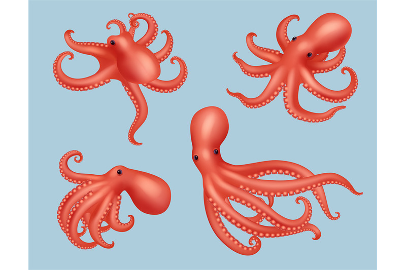 octopus-realistic-marine-creature-animal-squid-aquatic-decent-vector