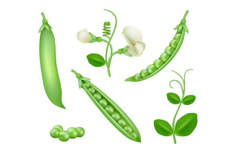 green-peas-vegan-natural-food-green-pea-pods-healthy-products-decent