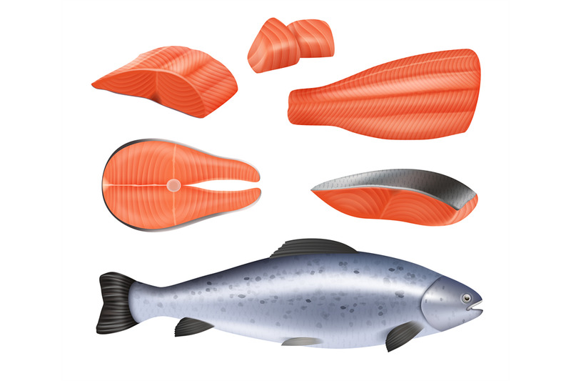 salmon-template-of-different-pieces-of-realistic-fish-decent-vector-i