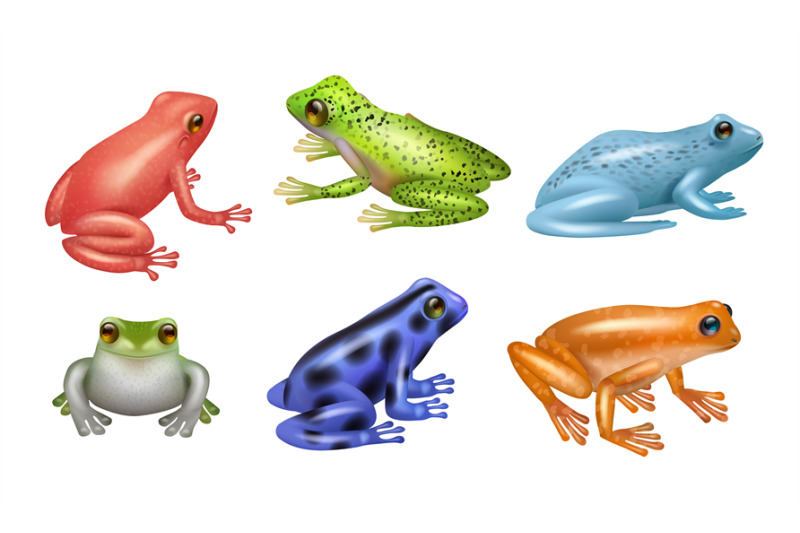 frogs-realistic-wild-amphibian-set-of-frogs-decent-vector-illustratio