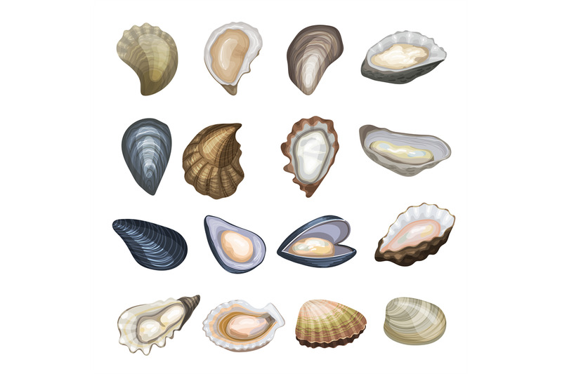 oysters-marine-or-ocean-food-exotic-delicious-shells-recent-vector-ca