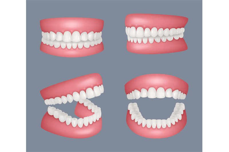 human-jaw-realistic-set-of-human-teeth-anatomy-closed-and-open-mouth