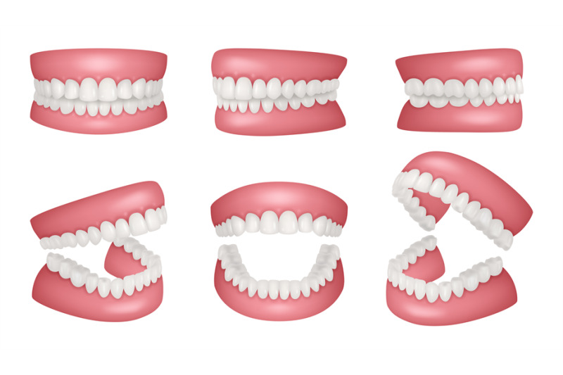 realistic-jaws-human-anatomy-jaw-healthy-teeth-collection-decent-vect