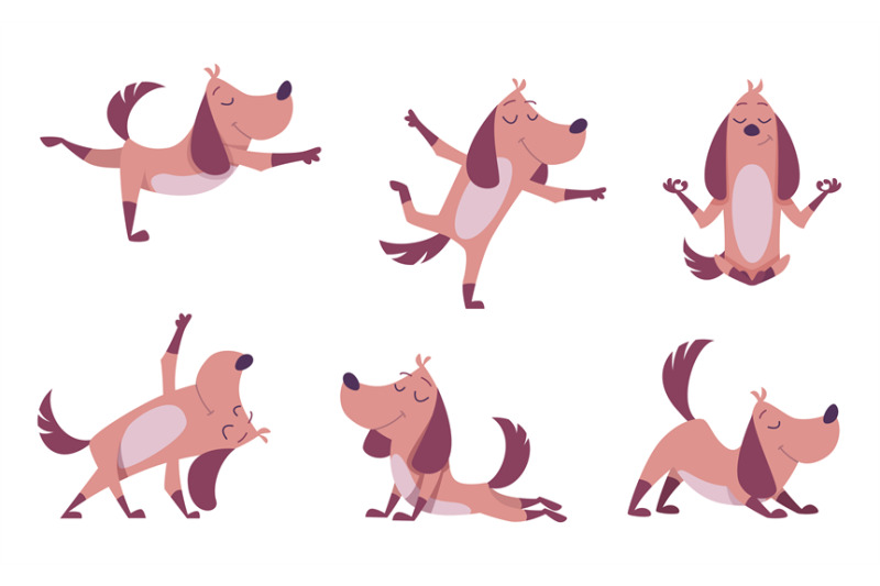 funny-dog-domestic-happy-animal-making-yoga-or-fitness-exercises-exac