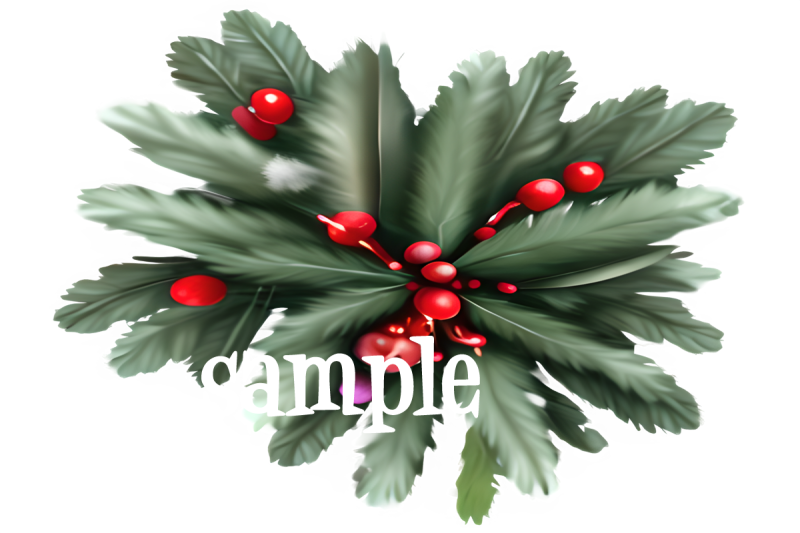 mistletoe-graphics-transparent-png