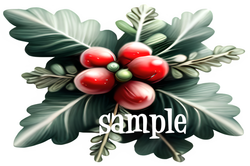 mistletoe-graphics-transparent-png