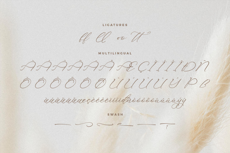 holicakes-serfinah-beauty-script-font