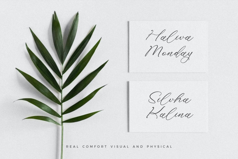 holicakes-serfinah-beauty-script-font