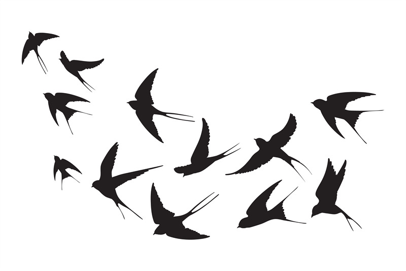 flock-of-swallows-silhouettes-crowd-flying-birds-away-sky-flyingof-s