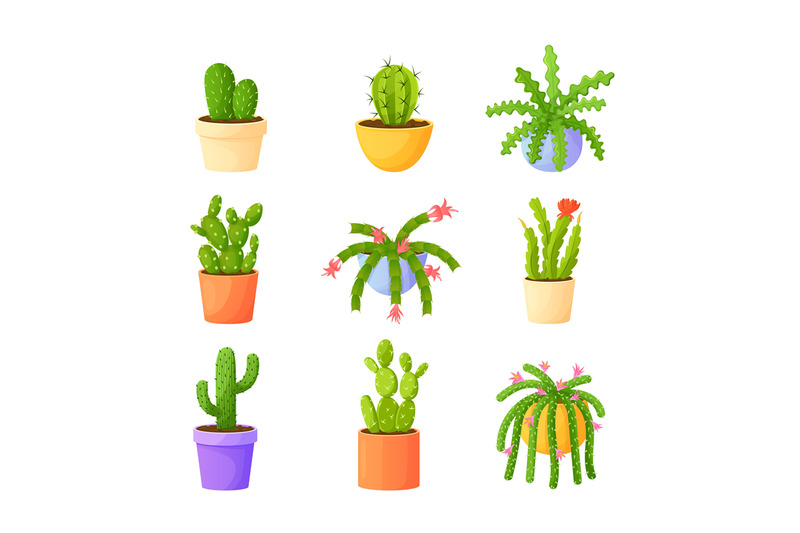 cartoon-home-cacti-in-pots-cactus-plant-succulent-flower-garden-flo