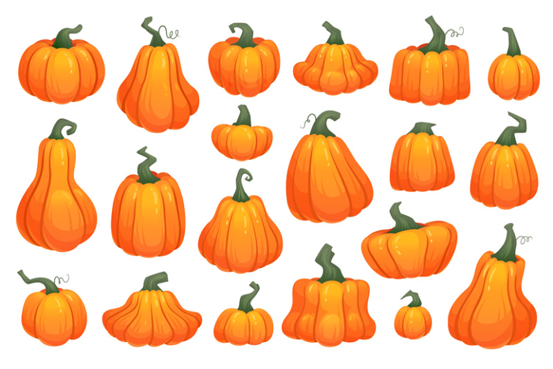 cartoon-crop-squash-pumpkin-gourd-fresh-organic-vegetable-orange-aut