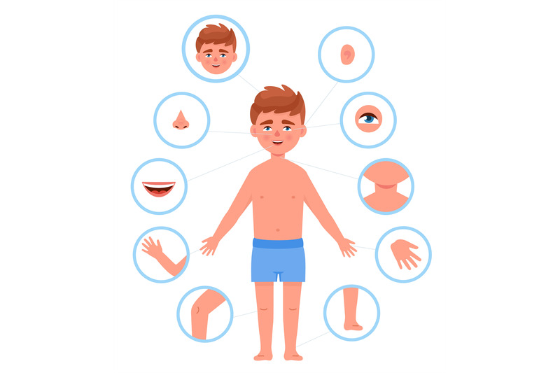 kid-body-parts-child-anatomy-human-cutout-part-school-boy-organs-bodi