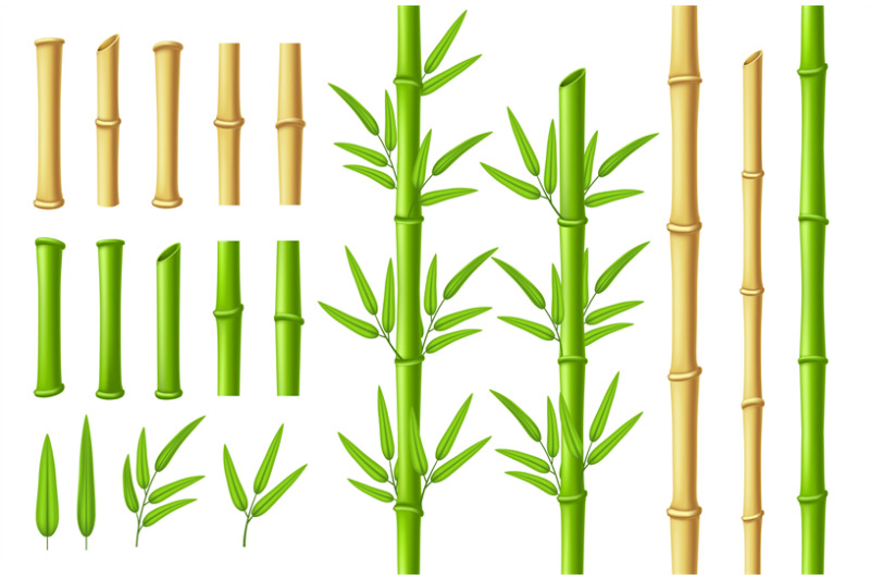 bamboo-stems-and-leaves-zen-garden-verdant-bamboo-stick-with-3d-green