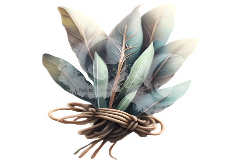 sage-bundle-transparent-png