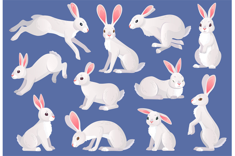 snow-hares-white-furry-hare-or-rabbit-pets-wild-spring-bunny-charact