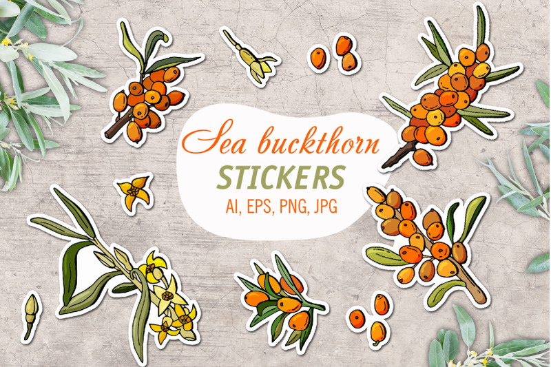 sea-buckthorn-printable-stickers-cricut-design
