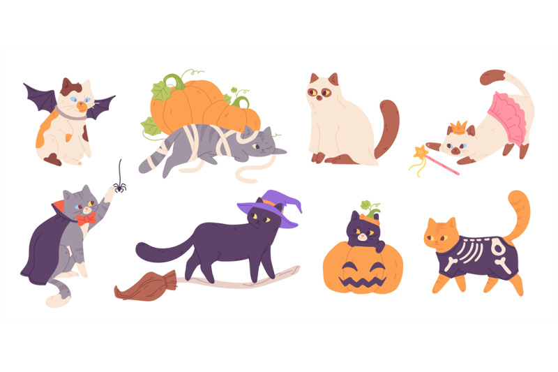 kitten-in-halloween-costumes-cats-in-hats-costume-autumn-holiday-part