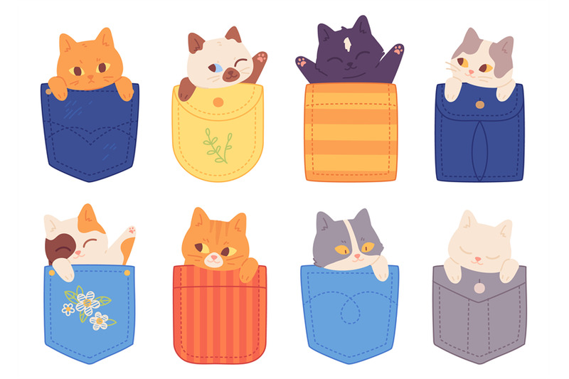 pocket-cats-adorable-kittens-in-big-pockets-happy-charming-baby-cat