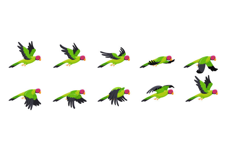 parrot-animation-animated-parrots-flight-flying-bird-loop-sequence-s