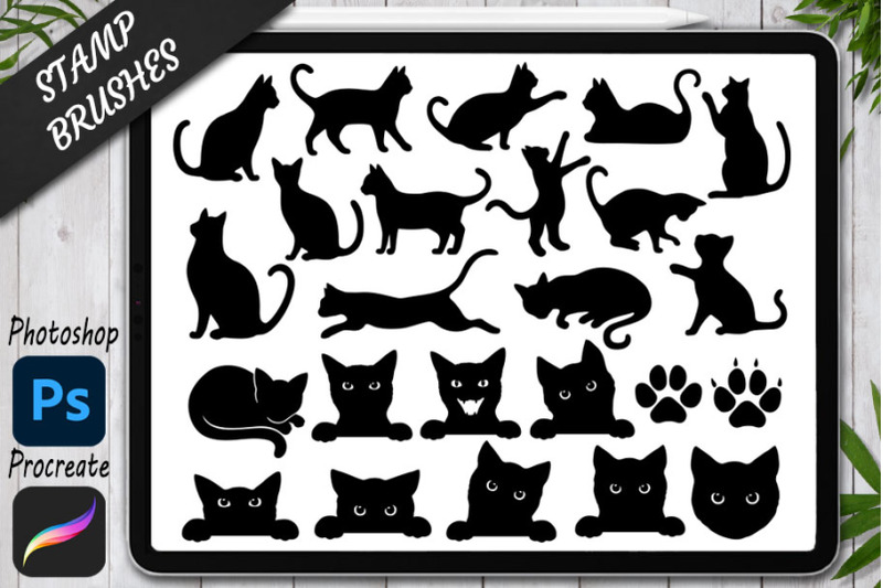 cats-bundle-stamps-brushes-for-procreate-and-photoshop
