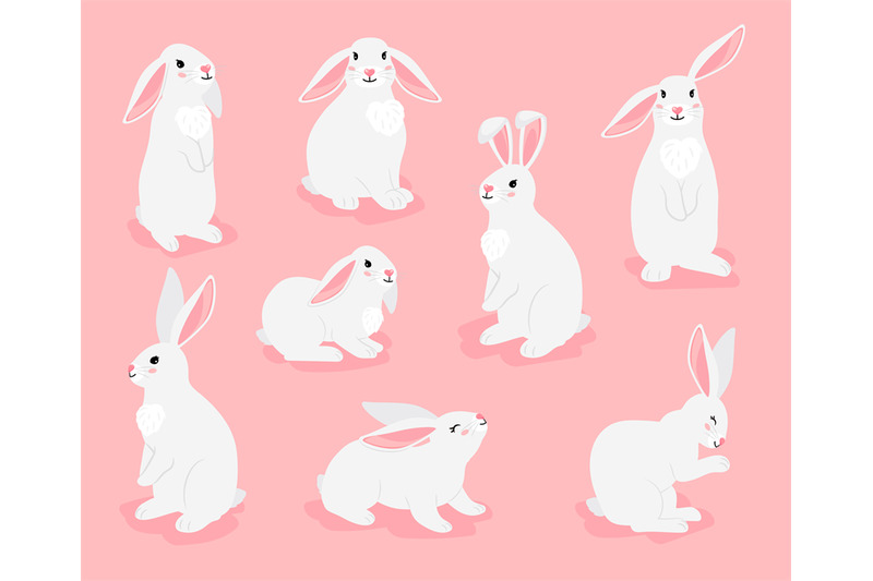 funny-bunny-pets-pose-collection-chinese-new-year-symbol-white-furry