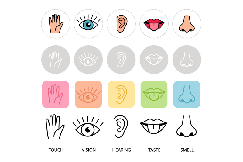 human-feelings-five-senses-vector-illustration-lips-hand-nose-eye