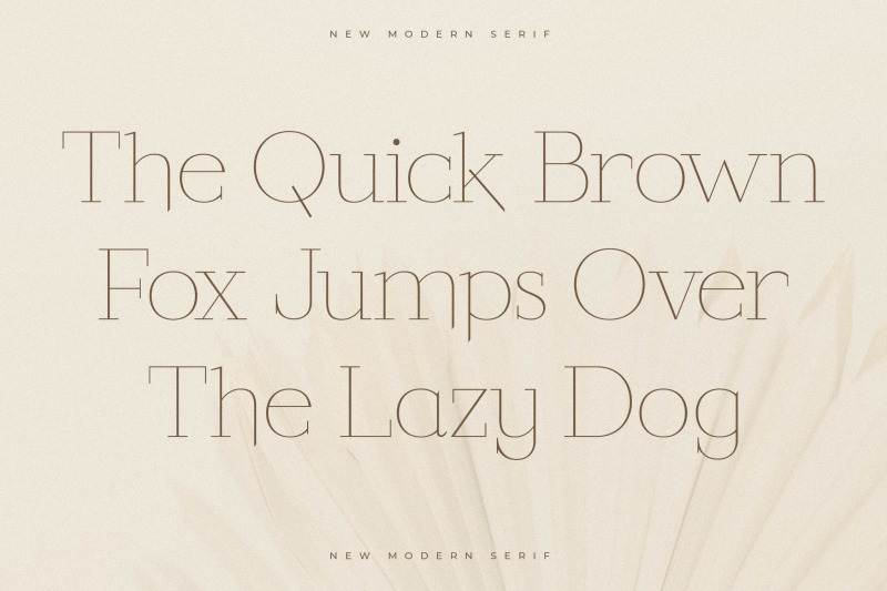 callidora-new-modern-serif