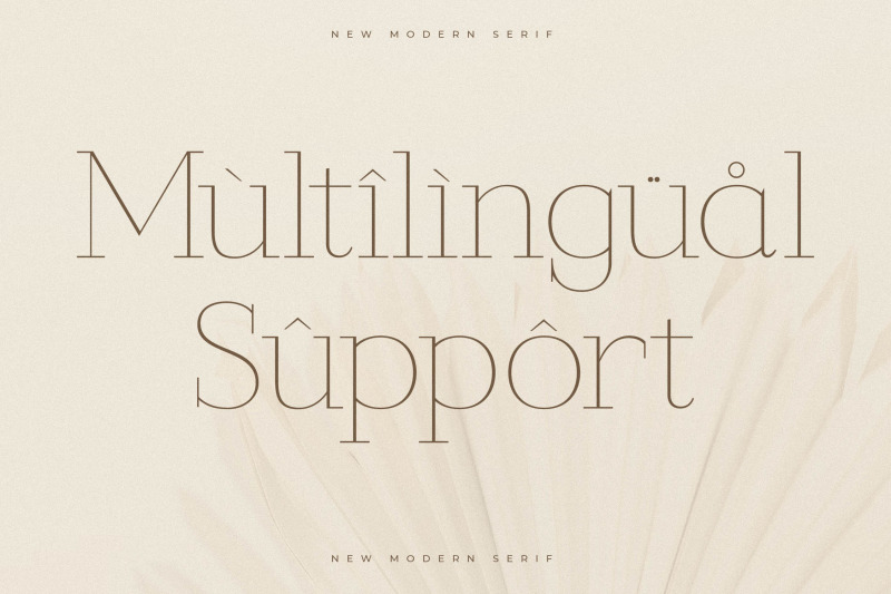 callidora-new-modern-serif