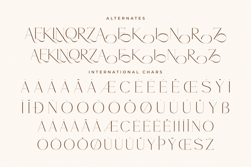 noracle-modern-font-serif-alternate