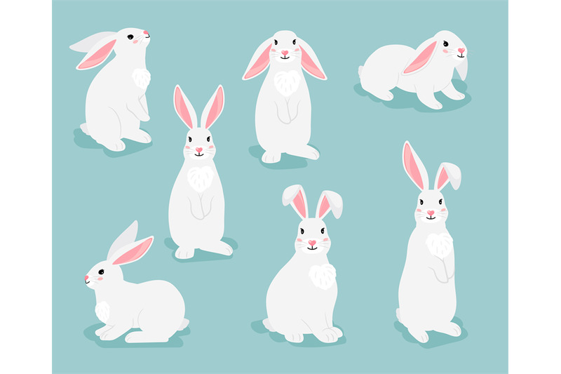 rabbit-characters-white-furry-hares-isolated-on-white-background-fun