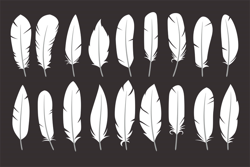 white-silhouettes-of-a-bird-feather-collection-feathers-icon-set-in-f