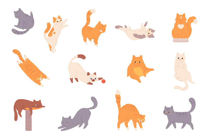 cat-behavior-feline-poses-cartoon-cats-characters-funny-emotions-af