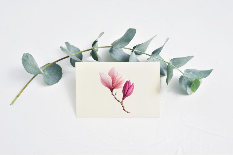 magnolia-watercolor-spring-clipart