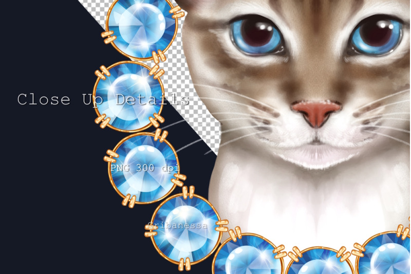 catswith-gems-2-png-sublimation-designs