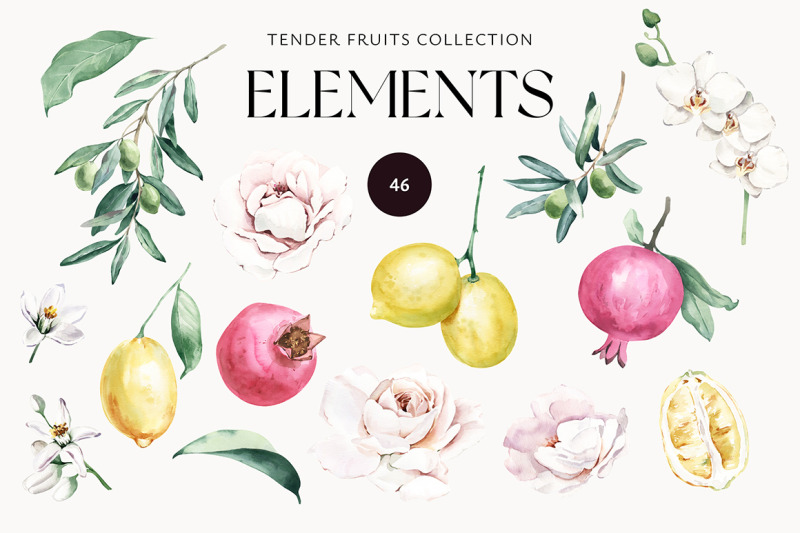tender-fruits-watercolor-elements