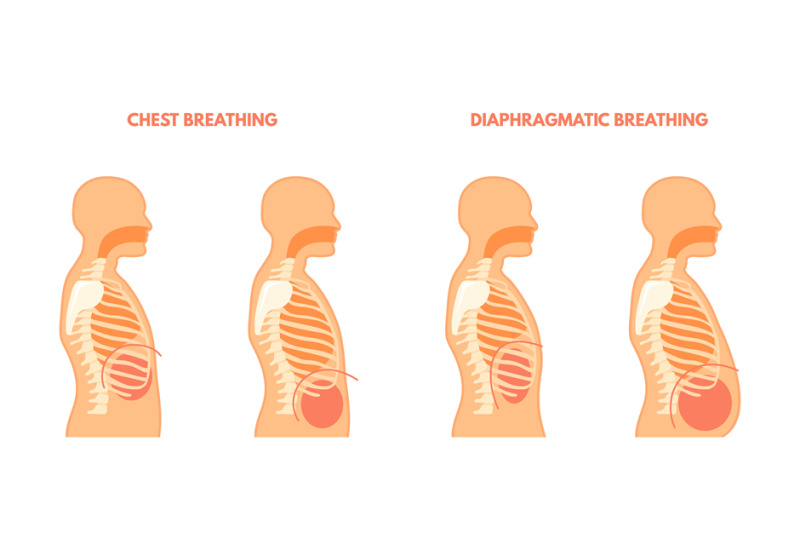 diaphragmatic-breathing-pulmonary-exercises-chest-and-abdominal-breat