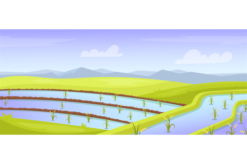 rice-field-landscape-asian-farmland-watering-india-fields-terrace-th