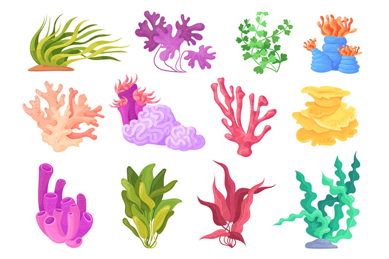 cartoon-algae-plants-beautiful-seaweed-and-coral-kelp-plant-painting