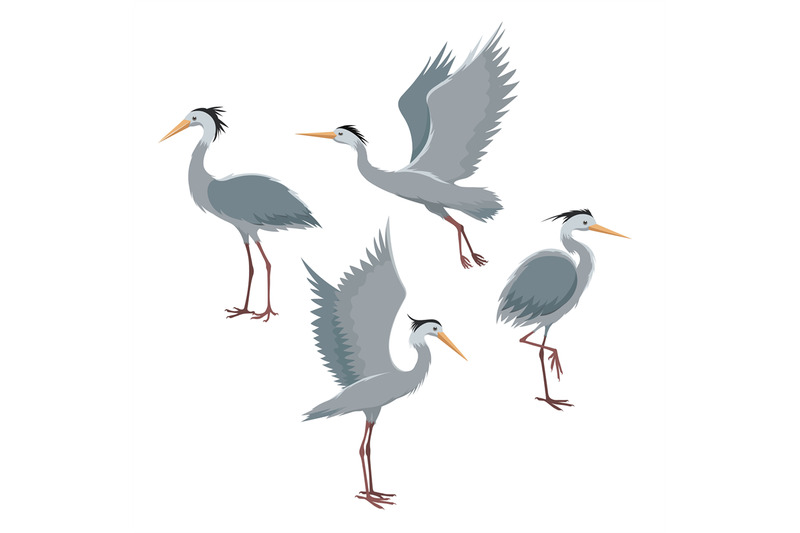 fly-and-stand-herons